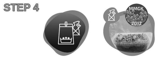 Place the Grow Kit in an area with enough daylight and at a temperature between 18 °C and 28 °C